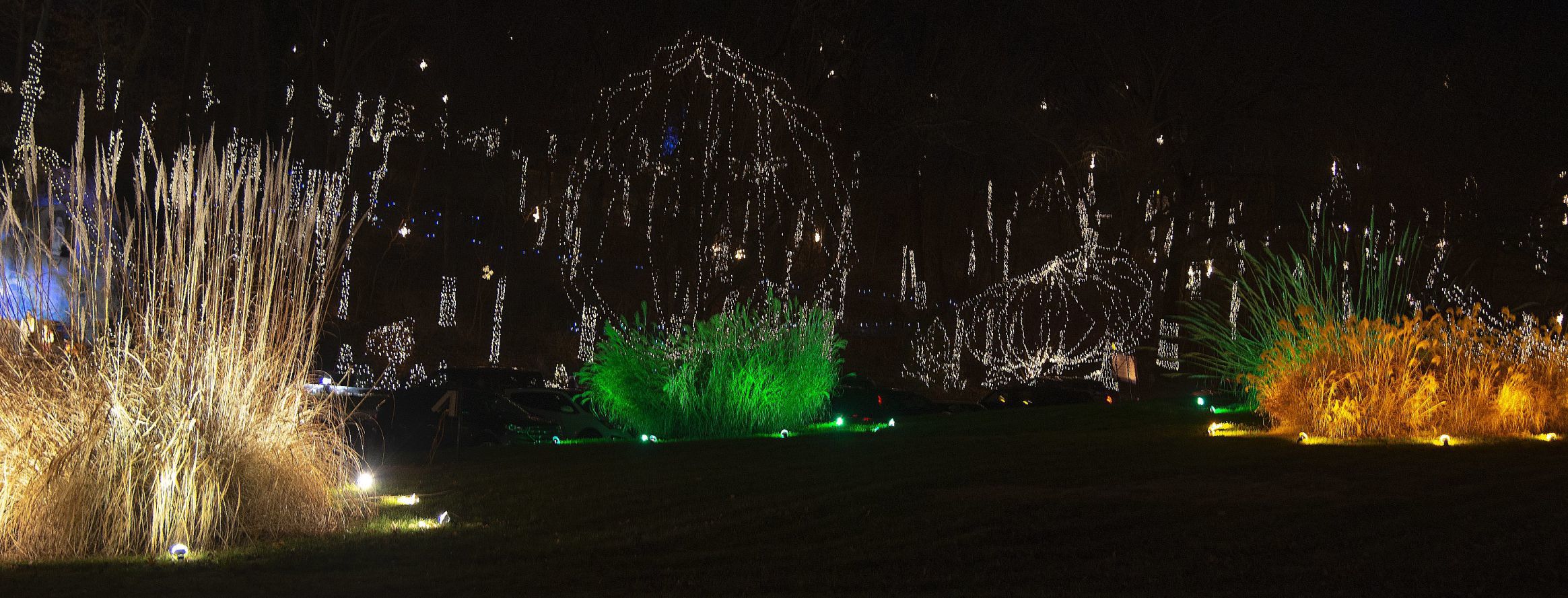 Way of Lights holiday light display at the National Shrine of Our Lady of the Snows